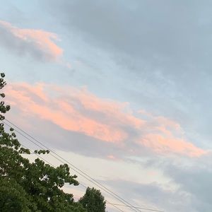 Meet your Posher, Leslie